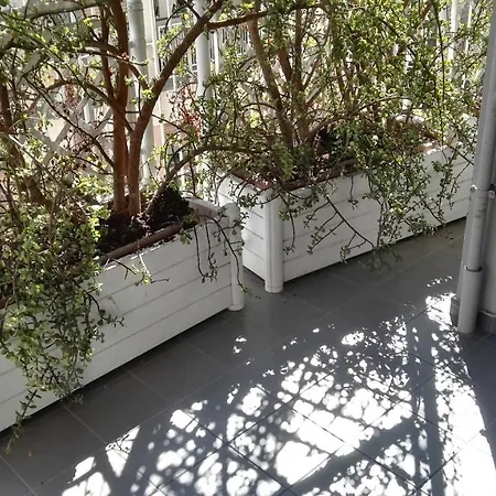 Apartment Laterani Platinum *